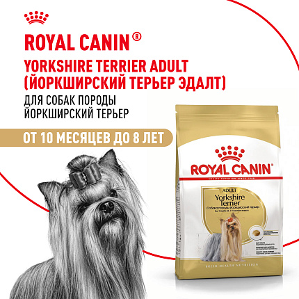 Royal Canin Yorkshire Terrier Adult Корм сухой для взрослых собак породы Йоркширский Терьер от 10 месяцев, 3 кг